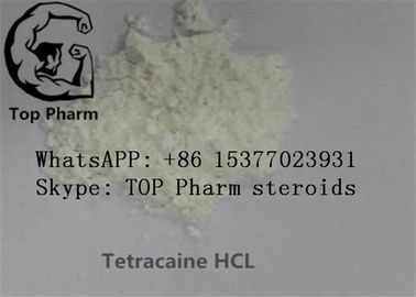 chlorhydrate de Tetracaine de pureté de 99%/Tetracaine HCL/Butethanol/Butylocaine CAS anesthésique local 136-47-0