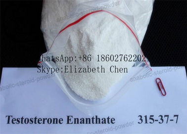Poudre blanche de pureté d'Enanthate CAS 315-37-7 99% de testostérone de poudre de gain de muscle