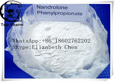 Nandrolone Phenylpropionate/CN CAS 62-90-8 de dosage de pureté de 99% pour le corps de construction   Puissance blanche